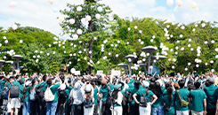 超过700人的专业团队，服务网络覆盖全国多个核心城市，建立标准化服务流程，确保每个环节专业可靠。